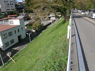 008.JPG - 24,776BYTES