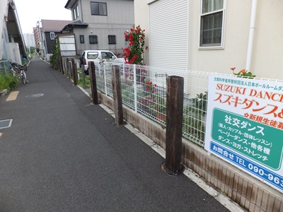 front-w.jpg(67546 byte)