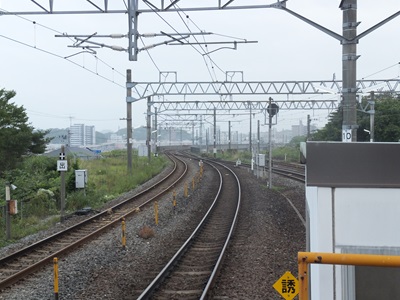 aobadori.jpg(67275 byte)