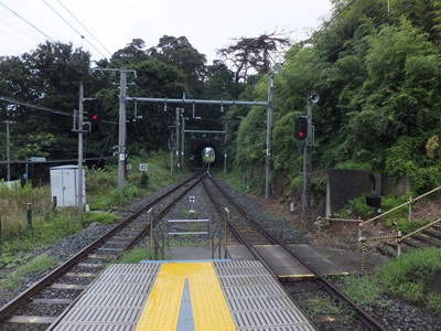 aobadori.jpg(76877 byte)