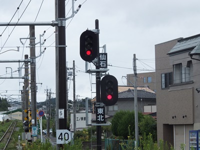 aobadori2.jpg(62485 byte)