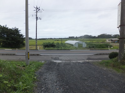 front.jpg(56275 byte)