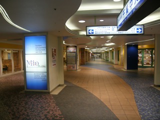 ���D���O