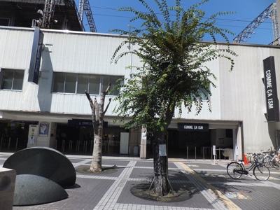 画像の説明はありません