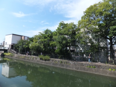 画像の説明はありません