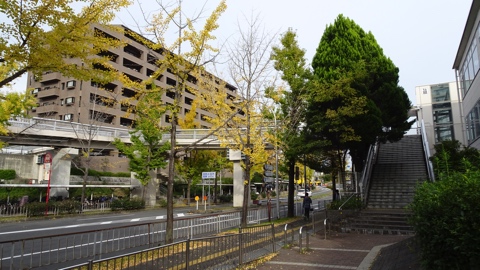 画像の説明はありません