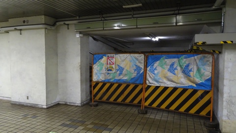 �摜�̐���