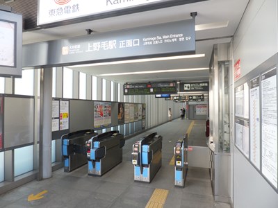 ���ʌ����D