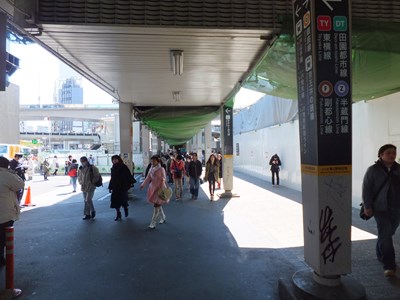 14�ԏo����