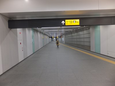 13�ԏo����