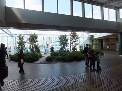 ���D����