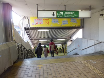 ��芷����