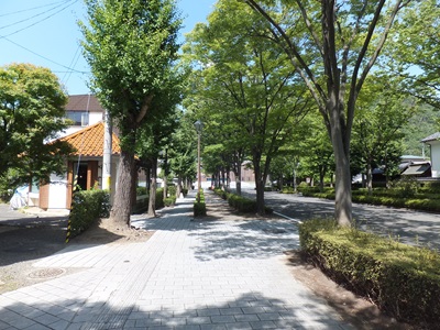 �摜�̐���