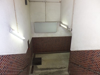 �摜�̐���