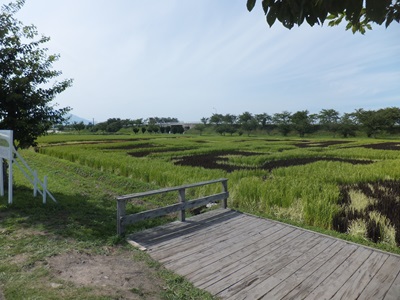 �摜�̐���