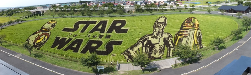 �摜�̐���