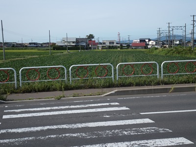 �摜�̐���