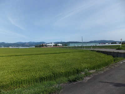 �摜�̐���