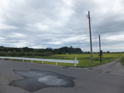 ‰æ‘œ‚Ìà–¾