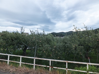 �摜�̐���