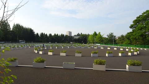 画像の説明はありません